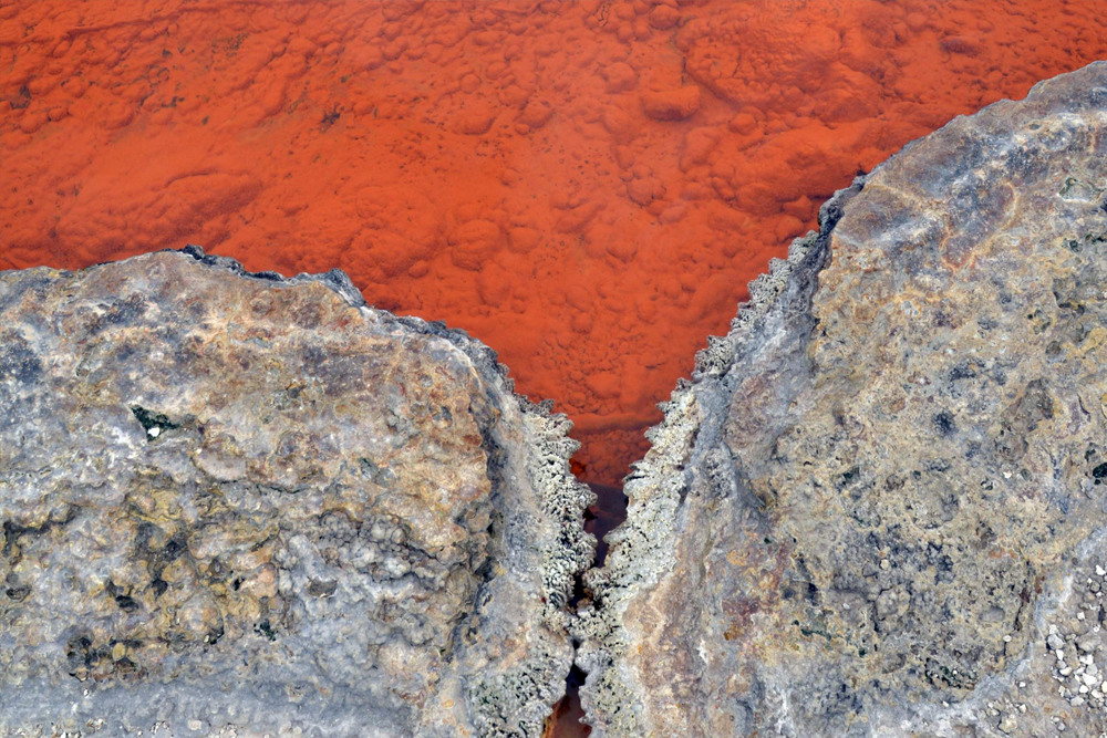 Waiotapu Thermal Wonderland - Image 6 of 7