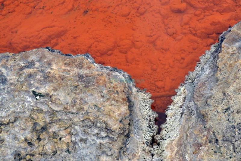 Waiotapu Thermal Wonderland - Explore New Zealand's Geothermal Wonders - JTR Holidays