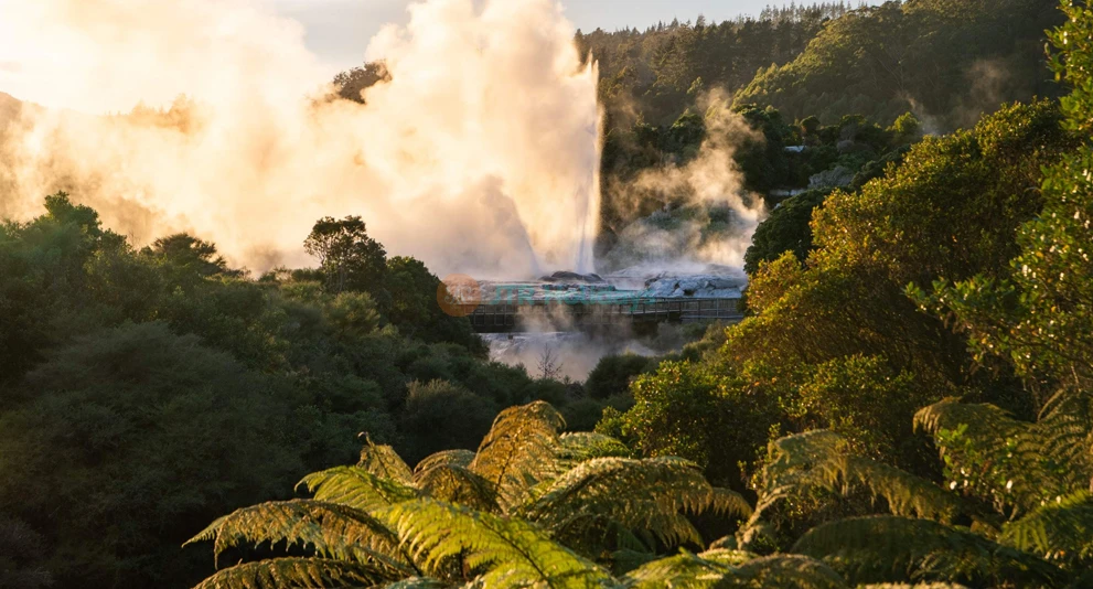 Te Puia Ticket - Entdecken Sie die reiche Māori-Kultur und geothermischen Wunder mit einem Te Puia Ticket in Rotorua. Erleben Sie den beeindruckenden Pōhutu-Geysir, erkunden Sie das Māori Arts and Crafts Institute und genießen Sie einzigartige kulturelle Darbietungen. Fügen Sie das Haka-Erlebnis für eine immersive, traditionelle Begrüßung hinzu und genießen Sie den magischen Geysir bei Nacht. Enthüllen Sie die Schönheit und Geschichte dieses ikonischen Reiseziels in Neuseeland. Te Puia Ticket - Bild 1 von 5