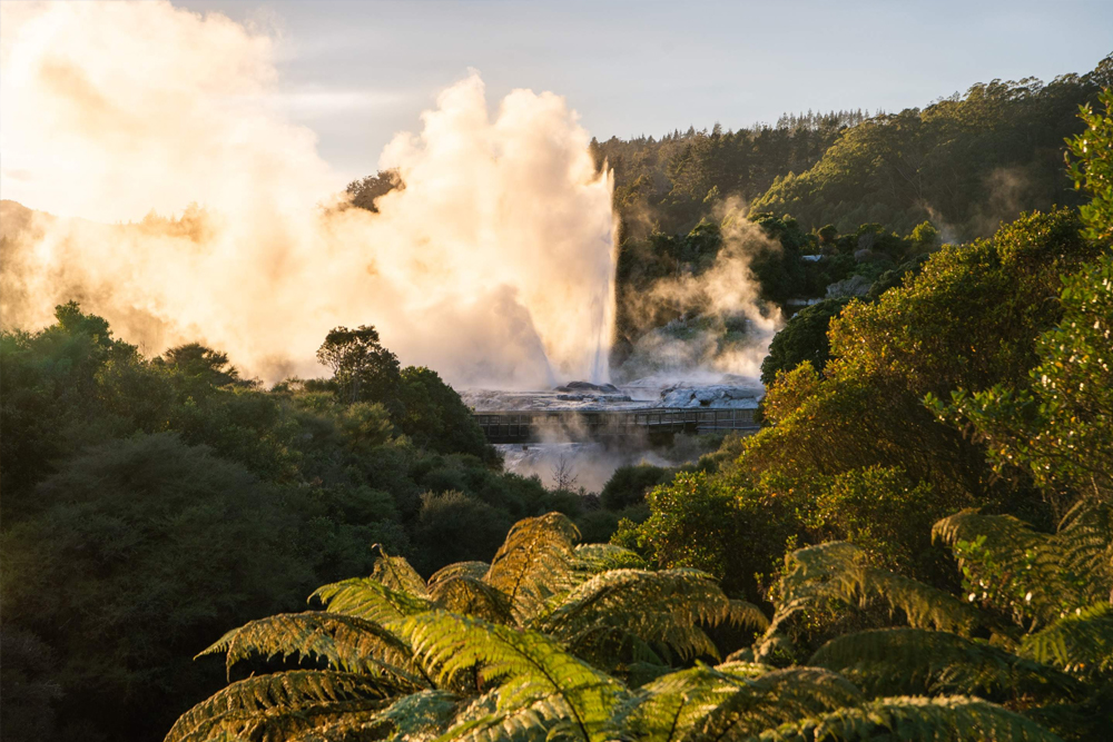 蒂普亚门票 - Image 1 of 14