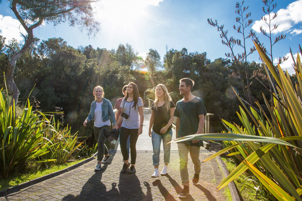 蒂普亚门票 - Image 2 of 14