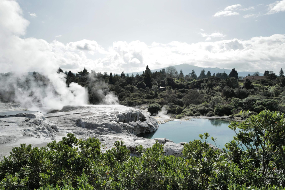 Te Puia Ticket - Discover the rich Māori culture and geothermal wonders with a Te Puia Ticket in Rotorua. Experience the awe-inspiring Pōhutu Geyser, explore the Māori Arts and Crafts Institute, and enjoy unique cultural performances. Add the Haka Experience for an immersive, traditional welcome and enjoy the magical Geyser by Night. Unveil the beauty and history of this iconic New Zealand destination. Te Puia Ticket - Image 3 of 5