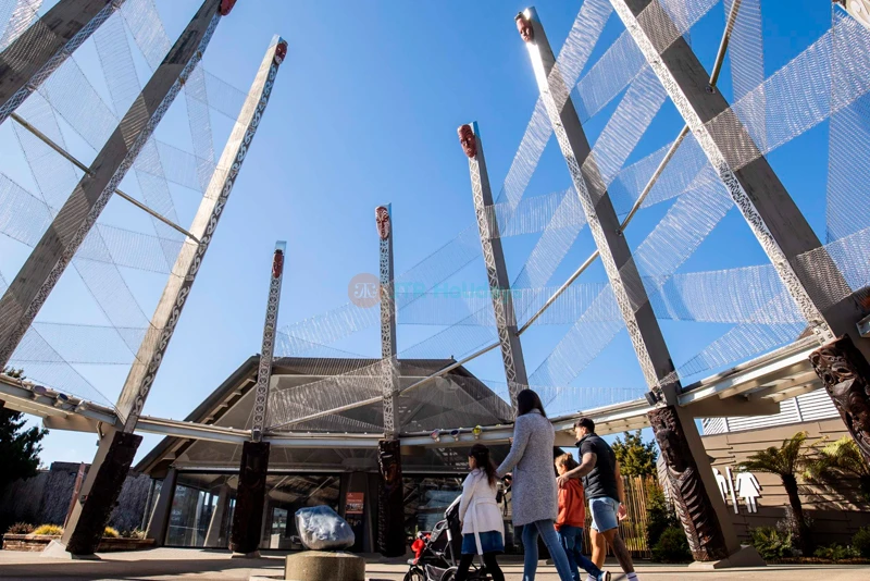 Te Puia Ticket - Explore Māori Culture & Geothermal Wonders in Rotorua - JTR Holidays