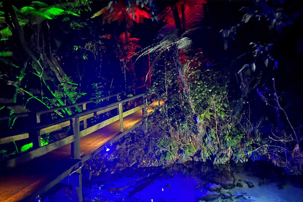 Митай Маори Виллидж - Культурный опыт и ужин-буфет - Image 10 of 10