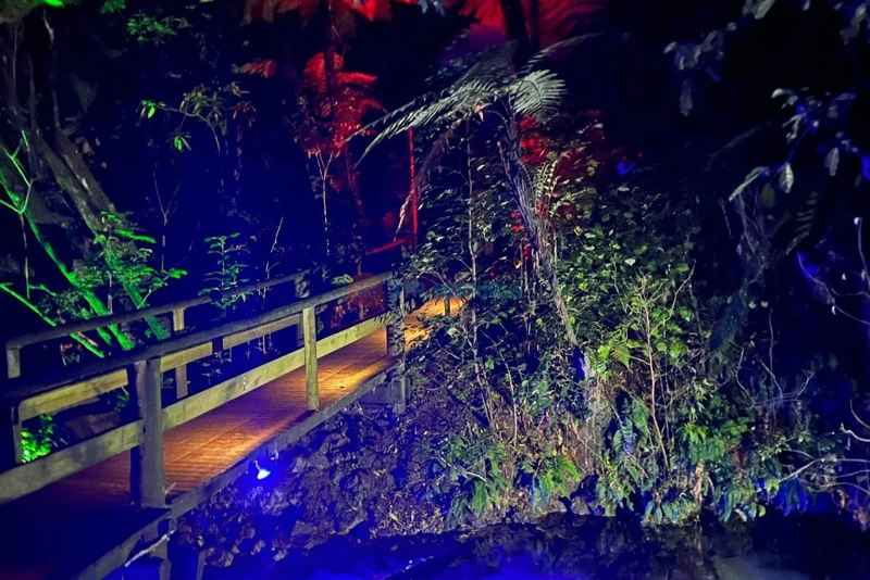 Aldea Mitai Maori - Experiencia Cultural y Cena Buffet - Image 10 of 10