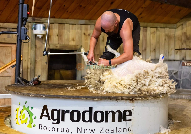 Agrodome