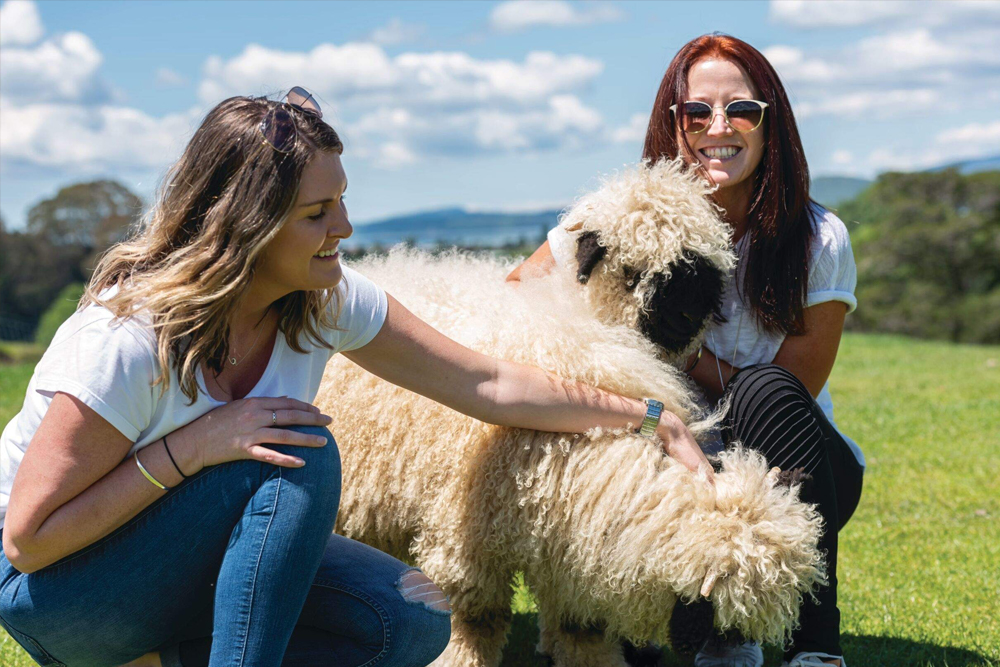 Agrodome - Image 3 sur 5