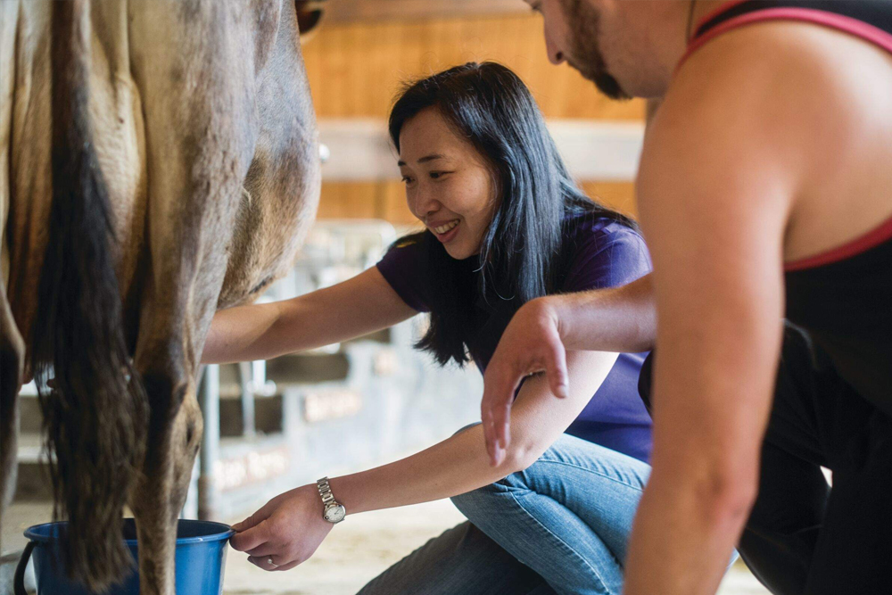 Agrodome - Image 7 of 7