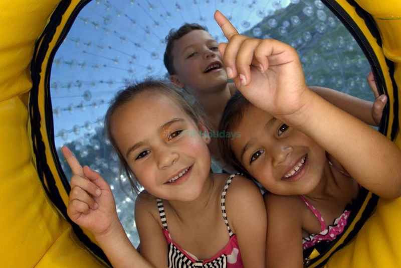 ZORB Inflatable Ball Adventure - Rotorua | Thrilling Hill Rolling Experience - JTR Holidays - Image 6 of 8
