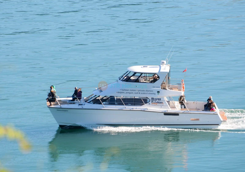 Akaroa Dolphins Harbour Nature Cruise