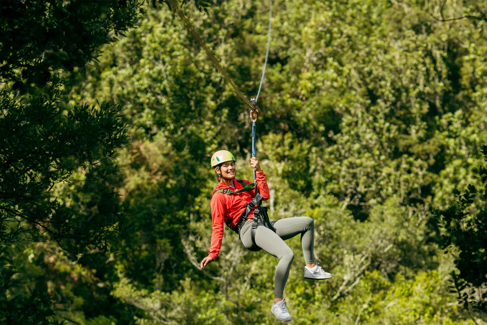Rotorua Zipline Experience over Okere Falls - Embark on the Rotorua Zipline Experience over Okere Falls for 2.5 hours of adrenaline and natural beauty. Soar across 610 meters of ziplines, traverse a thrilling swing bridge, and explore enchanting boardwalks. Take in breathtaking views of the Kaituna River's waterfalls while enjoying an unforgettable adventure in Rotorua's lush landscapes. Rotorua Zipline Experience over Okere Falls - Image 2 of 5