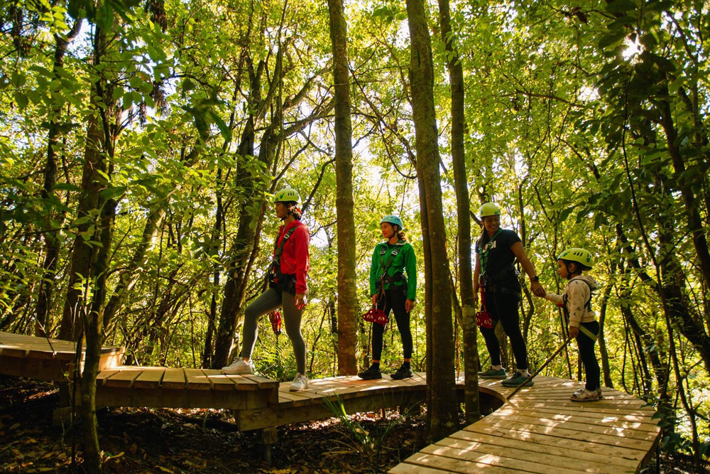 Rotorua Zipline Experience over Okere Falls - Embark on the Rotorua Zipline Experience over Okere Falls for 2.5 hours of adrenaline and natural beauty. Soar across 610 meters of ziplines, traverse a thrilling swing bridge, and explore enchanting boardwalks. Take in breathtaking views of the Kaituna River's waterfalls while enjoying an unforgettable adventure in Rotorua's lush landscapes. Rotorua Zipline Experience over Okere Falls - Image 4 of 5