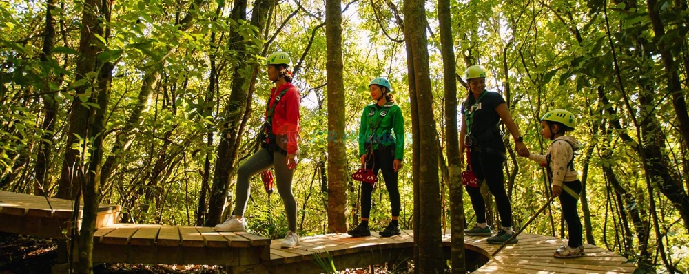 Rotorua Zipline Experience Over Okere Falls - Thrills & Stunning Views - JTR Holidays - Image 4 of 5