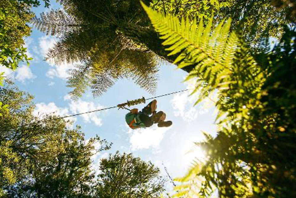 Rotorua Zipline Experience over Okere Falls - Embark on the Rotorua Zipline Experience over Okere Falls for 2.5 hours of adrenaline and natural beauty. Soar across 610 meters of ziplines, traverse a thrilling swing bridge, and explore enchanting boardwalks. Take in breathtaking views of the Kaituna River's waterfalls while enjoying an unforgettable adventure in Rotorua's lush landscapes. Rotorua Zipline Experience over Okere Falls - Image 5 of 5