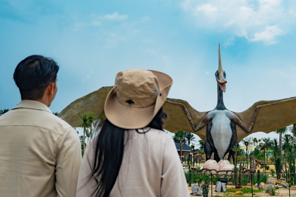 Дино Дезерт - Image 5 of 9