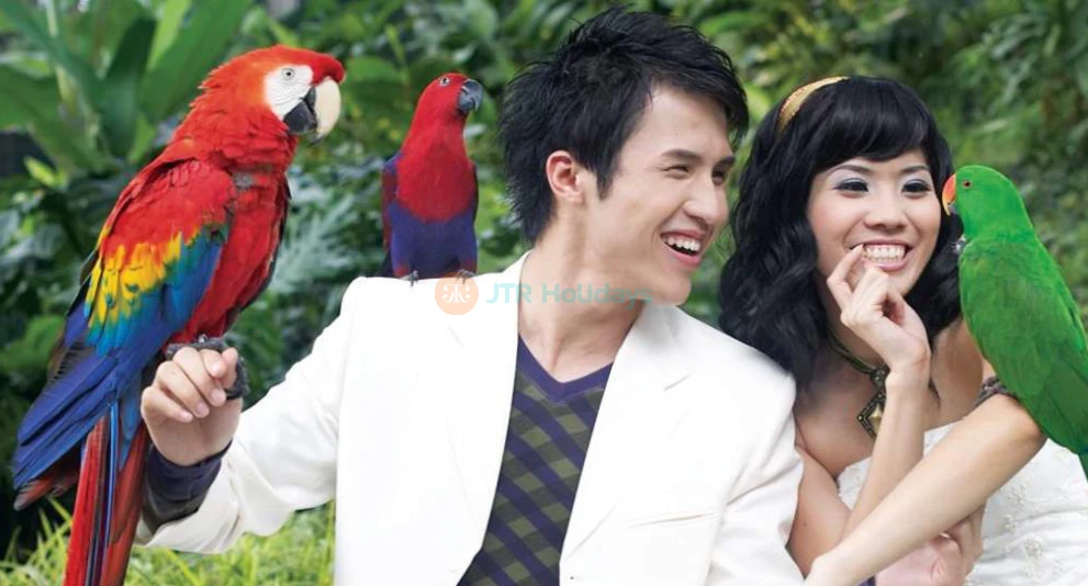 KL Bird Park - A Paradise for Bird Lovers in Kuala Lumpur - JTR Holidays - Image 1 of 5