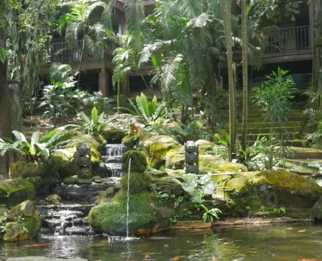 KL Bird Park - A Paradise for Bird Lovers in Kuala Lumpur - JTR Holidays - Image 5 of 5