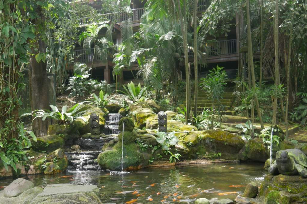 Птичий парк Куала-Лумпура - Изображение 5 из 5