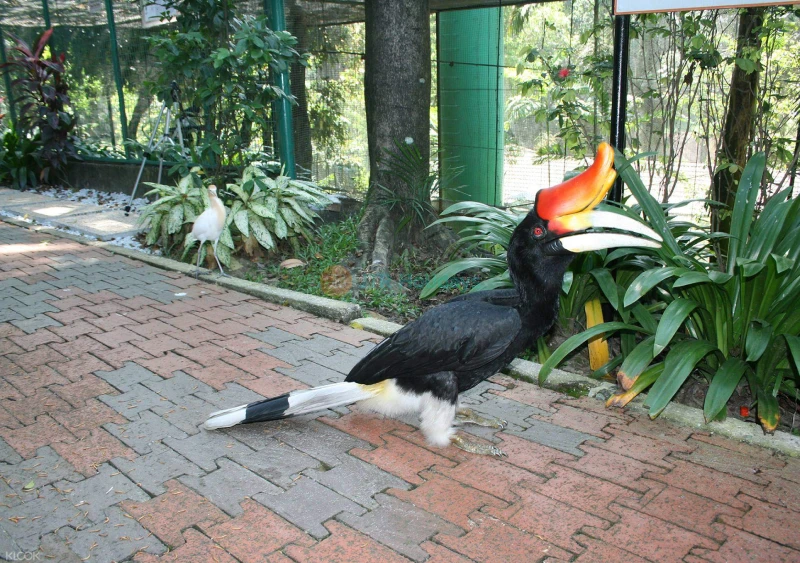 KL Bird Park