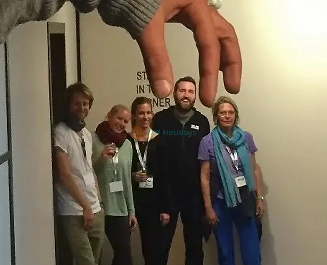 Puzzling World Ticket - Wanaka | Optical Illusions & 3D Maze Fun - JTR Holidays - Image 2 of 5