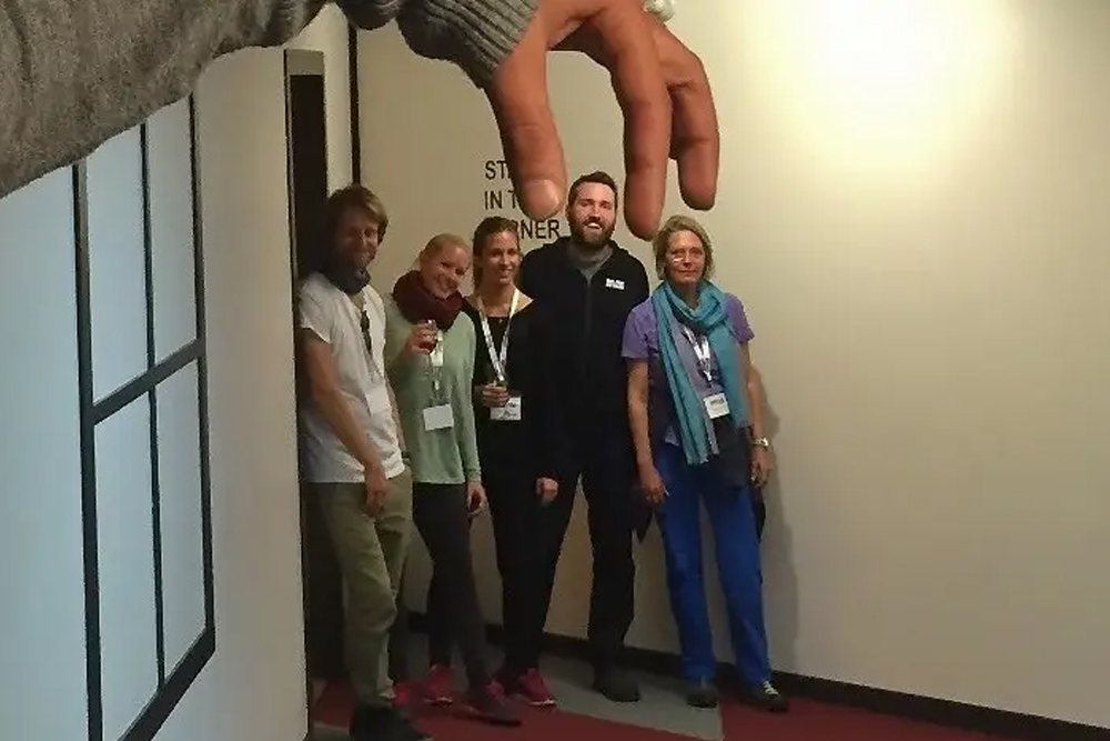 Puzzling World Ticket - Wanaka - Image 2 of 5