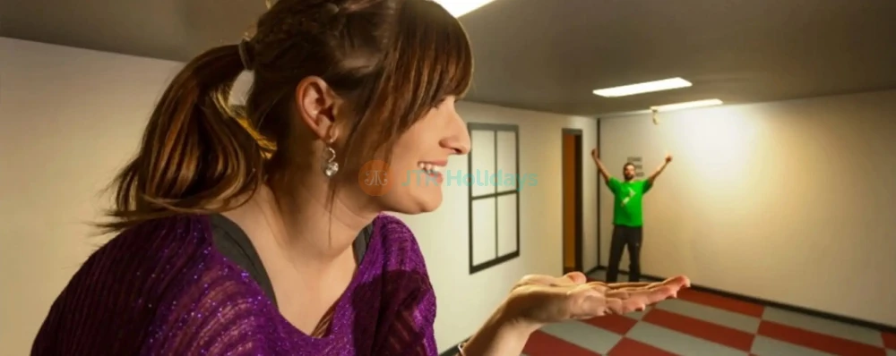 Puzzling World Ticket - Wanaka | Optical Illusions & 3D Maze Fun - JTR Holidays - Image 3 of 5