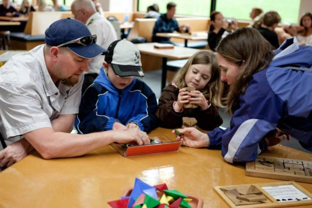 Puzzling World Ticket - Wanaka - Image 5 of 5