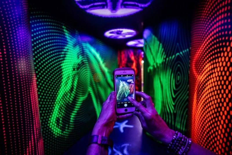 Puzzling World Ticket - Wanaka | Optical Illusions & 3D Maze Fun - JTR Holidays - Image 9 of 9