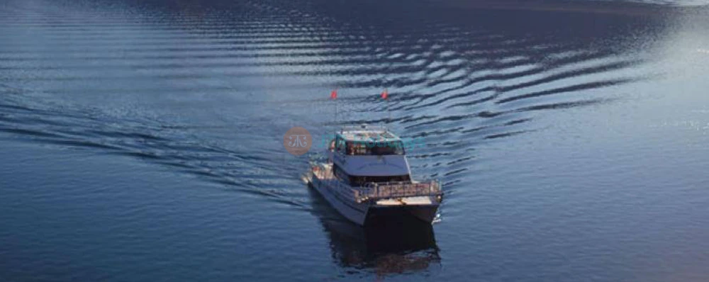 1 Hour Happy Hour Cruise Relax & Enjoy Lake Wanaka Scenery - JTR Holidays - Image 3 of 5