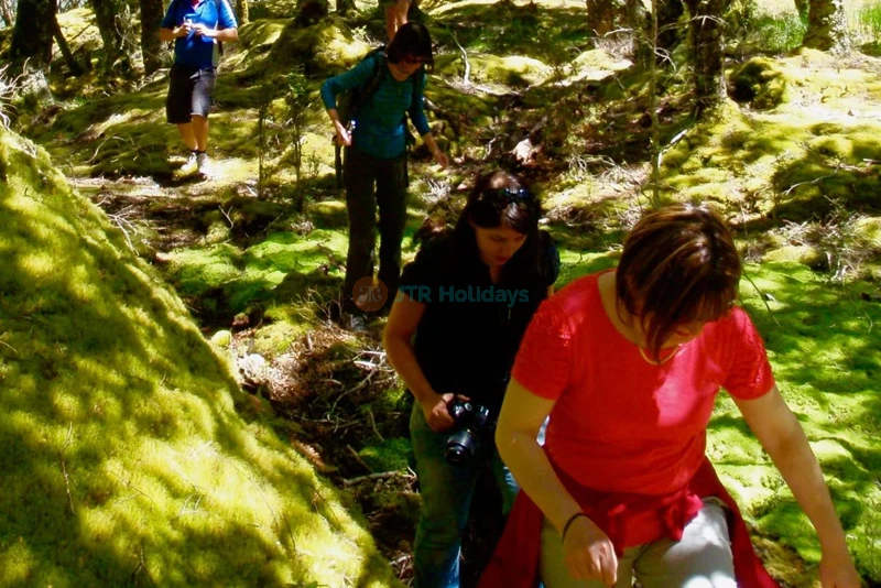 Paseo en lancha a motor en Wanaka y caminata por la naturaleza - Image 7 of 7
