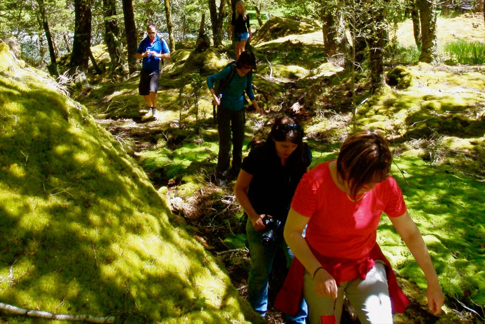 Wanaka Jet Boat Ride & Wilderness Walk - Image 7 of 7