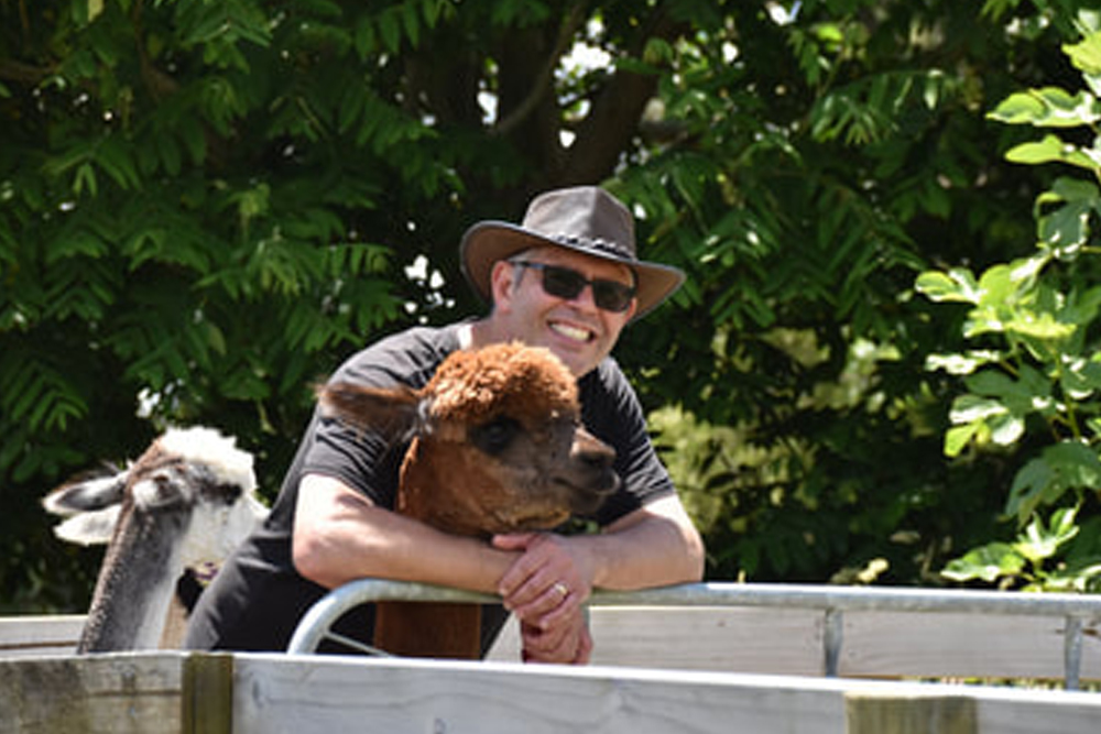 Cornerstone Alpaca Farm Ticket - Image 4 of 5