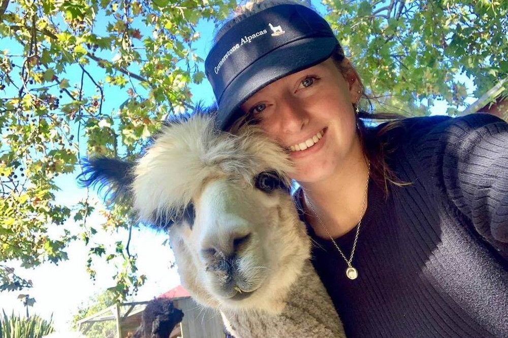 Cornerstone Alpaca Farm Ticket - Image 5 of 5