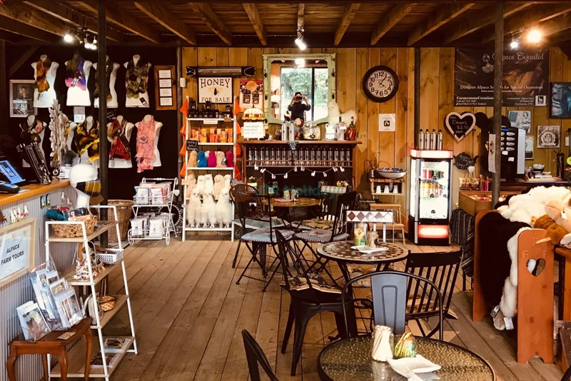 Cornerstone Alpaca Farm Ticket - Feed, Cuddle & Learn About Alpacas - JTR Holidays - Image 6 of 6