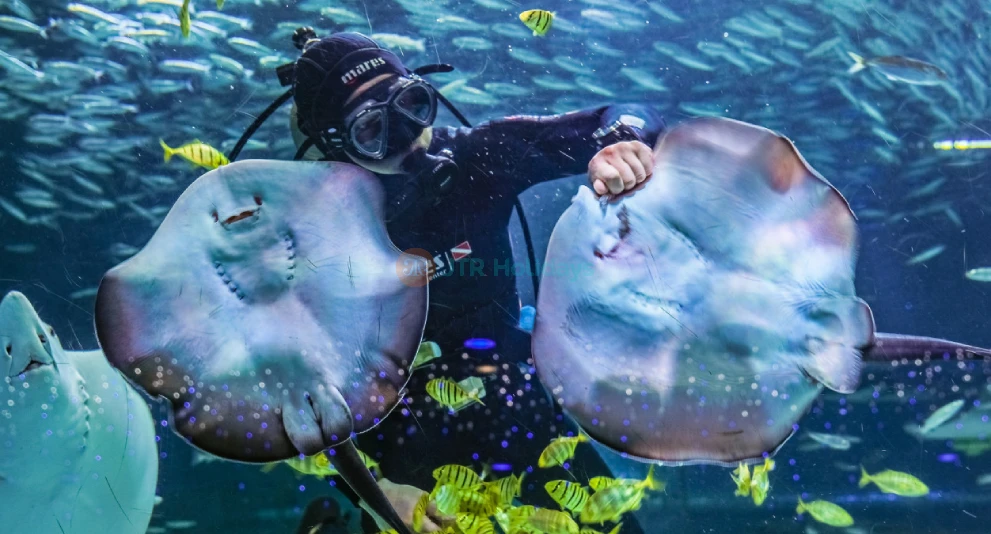 COEX Aquarium Seoul - Discover South Korea’s Largest Underwater World - JTR Holidays - Image 1 of 5