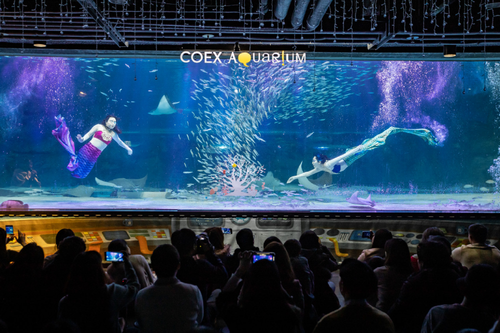 Coex Aquarium Seoul - Discover the wonders of COEX Aquarium, one of South Korea's largest aquariums. Explore COEX Aquarium's themed zones and see 40,000 sea creatures from 650 species, including sharks, turtles, and stingrays. At COEX Aquarium, experience the beauty of underwater life through exciting exhibits like the Amazonian World and Undersea Tunnel. COEX Aquarium offers a fun and educational adventure for visitors of all ages. Don’t miss the chance to visit COEX Aquarium and create unforgettable memories in Seoul! Coex Aquarium Seoul - Image 3 of 5