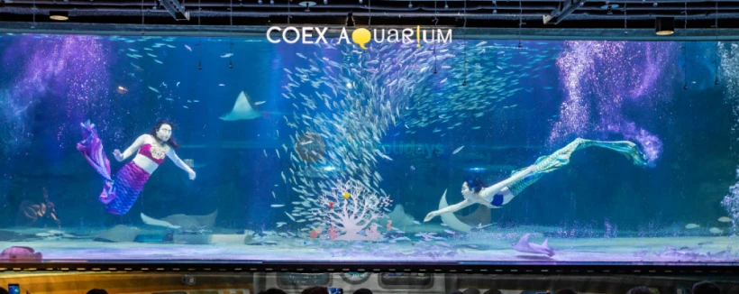 Аквариум Коэкс Сеул - Откройте для себя чудеса аквариума COEX, одного из крупнейших аквариумов Южной Кореи. Исследуйте тематические зоны аквариума COEX и увидьте 40 000 морских существ из 650 видов, включая акул, черепах и скатов. В аквариуме COEX окунитесь в красоту подводного мира через захватывающие экспозиции, такие как Амазонский мир и Подводный туннель. Аквариум COEX предлагает увлекательное и познавательное приключение для посетителей всех возрастов. Не упустите шанс посетить аквариум COEX и создать незабываемые воспоминания в Сеуле! Аквариум Коэкс Сеул - Изображение 3 из 5