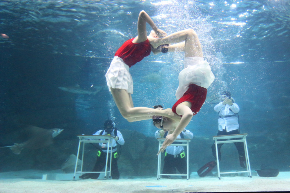 Coex Aquarium Seoul - Image 7 of 10