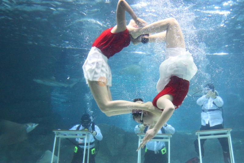 COEX Aquarium Seoul - Discover South Korea’s Largest Underwater World - JTR Holidays - Image 7 of 10