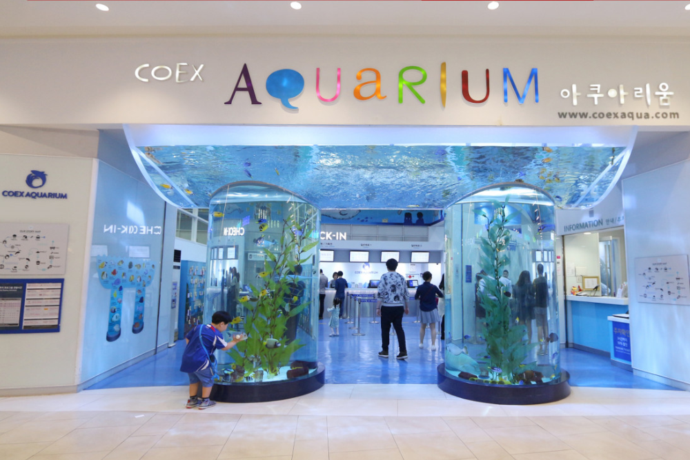 Coex Aquarium Seoul - Image 8 of 10