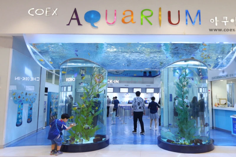 COEX Aquarium Seoul - Discover South Korea’s Largest Underwater World - JTR Holidays - Image 8 of 10