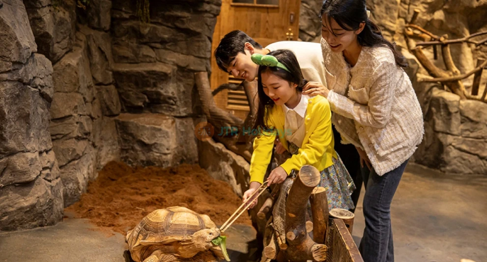 Zoolung Zoolung Theme Park - Korea’s Largest Indoor Animal Experience - JTR Holidays - Image 1 of 5