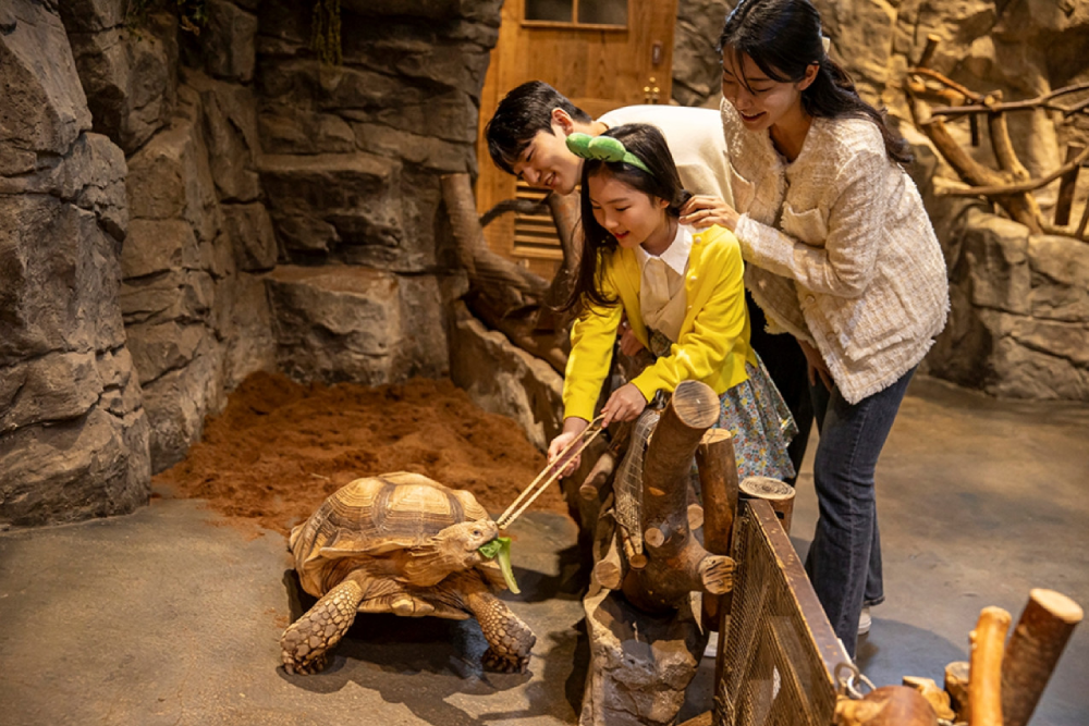 Zoolung Zoolung Theme Park Seoul - Discover the wonders of Zoolung Zoolung Theme Park, Korea’s largest indoor animal park located in Times Square Mall. Zoolung Zoolung Theme Park lets you meet over 50 species of animals, including sloths, tamarin monkeys, and capybaras, in a fun and interactive environment. Explore unique ecosystems and enjoy close encounters with African and Amazonian animals at Zoolung Zoolung Theme Park. Don’t miss the hourly 3D video art show for a deeper look into the animal kingdom. Visit Zoolung Zoolung Theme Park for an unforgettable wildlife adventure in the heart of Seoul! Zoolung Zoolung Theme Park Seoul - Image 1 of 5