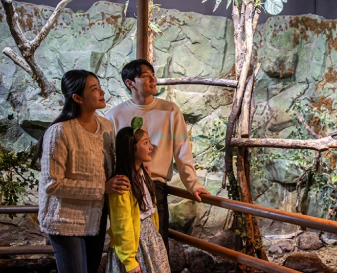 Zoolung Zoolung Theme Park - Korea’s Largest Indoor Animal Experience - JTR Holidays - Image 2 of 5