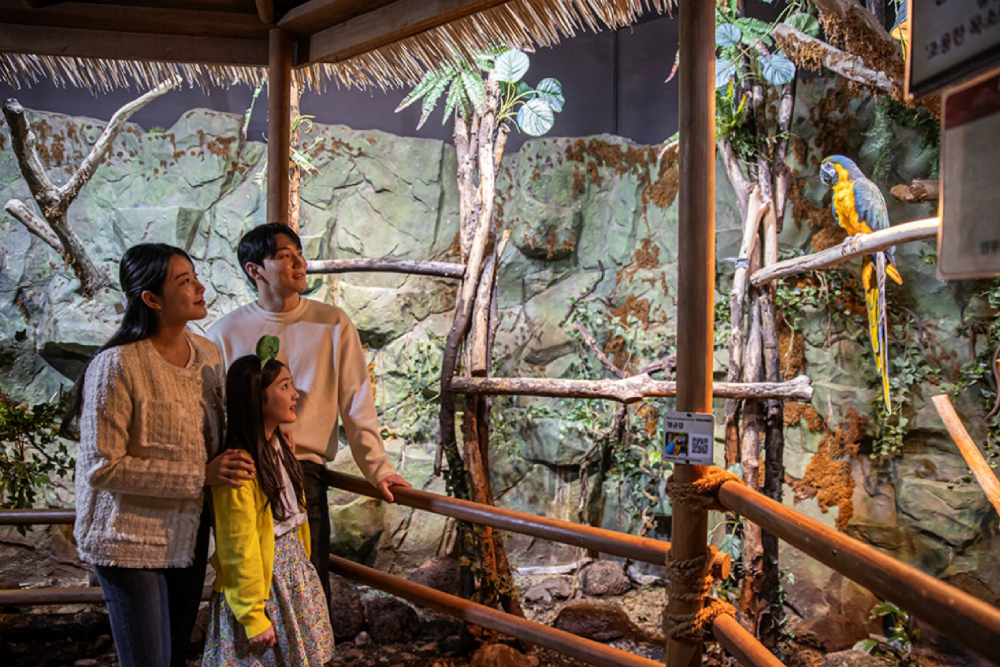 Zoolung Zoolung Theme Park Seoul - Image 2 of 5