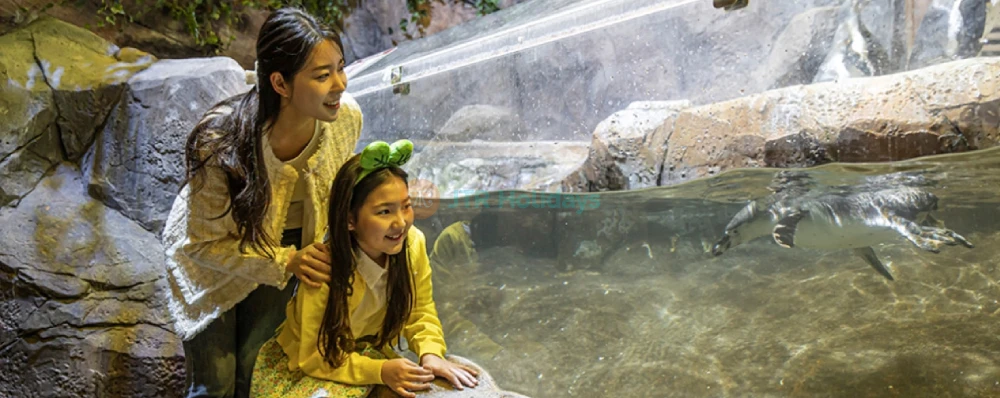 Zoolung Zoolung Theme Park - Korea’s Largest Indoor Animal Experience - JTR Holidays - Image 3 of 5