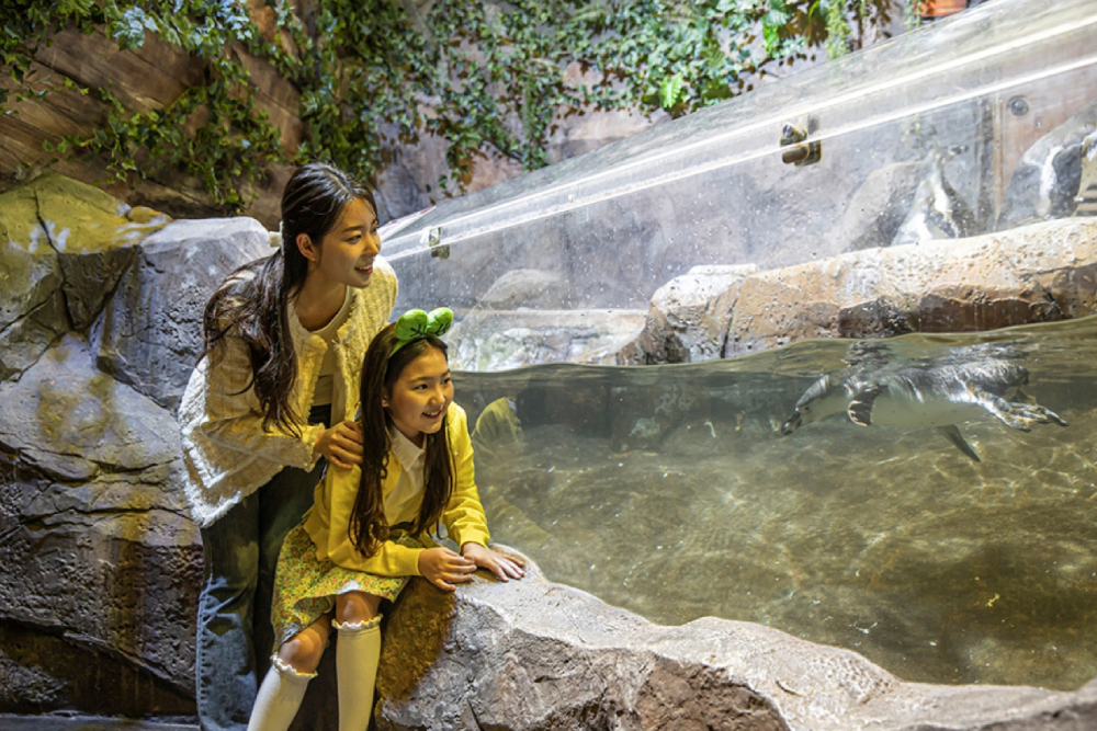 Zoolung Zoolung Theme Park Seoul - Image 3 of 5