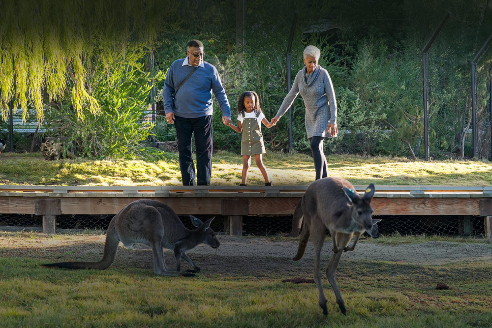 San Diego Zoo Safari Park - Image 2 of 9