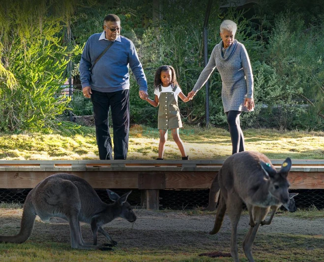 San Diego Zoo Safari Park - Image 2 of 5