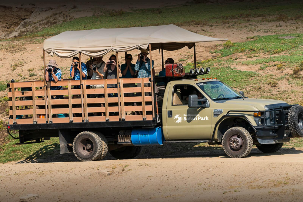 San Diego Zoo Safari Park - Image 3 of 9